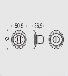 Фиксатор сантехнический Colombo Rosetta DB19 BZG хром